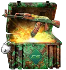 cases (1)