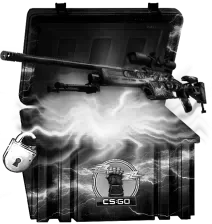 cases (5) (1)