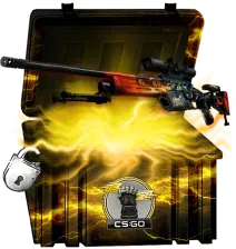 cases (5)
